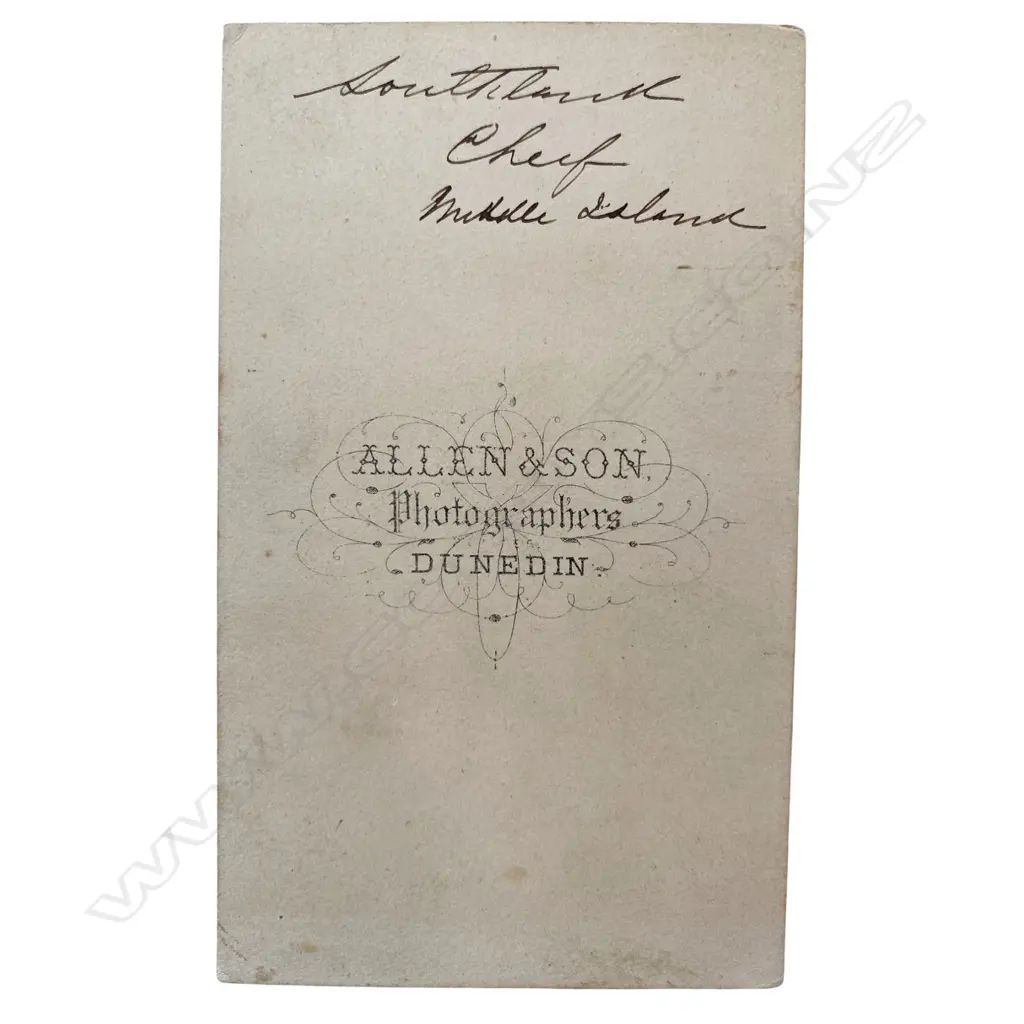 Allen & Son (fl. 1862-1875) 'Southland chief Middle Island', c.1870 Image 1++